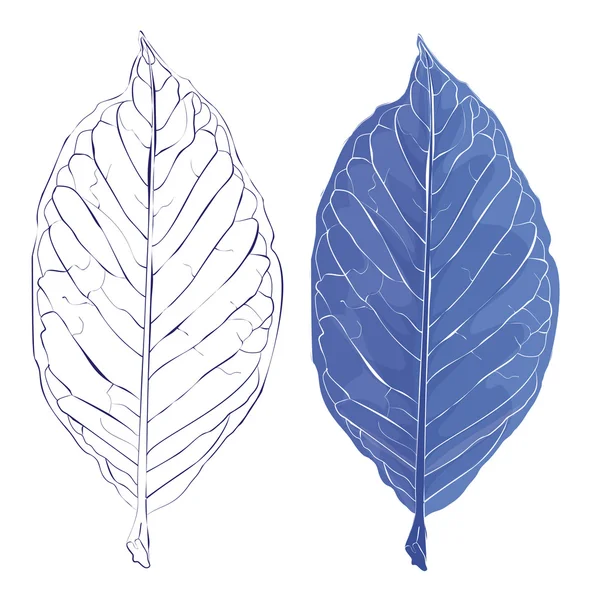 Gerçekçi yaprakları illüstrasyon vektör