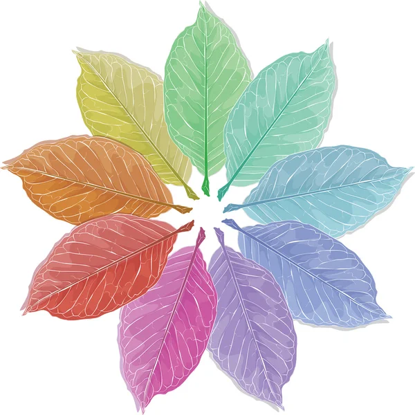 Gökkuşağı renklerde kalkıyor