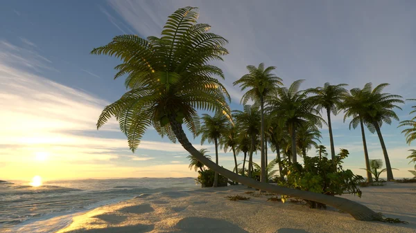3D-cg rendering van eiland — Stockfoto