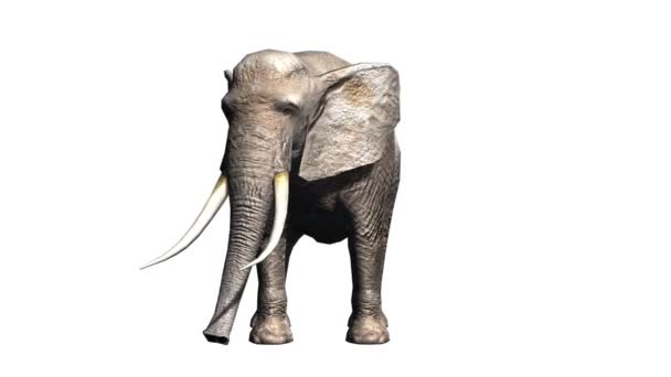 3D-s cg visszaadás-ból egy elefánt