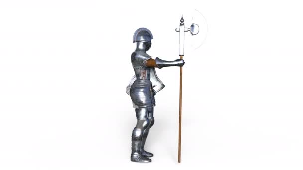 3D rendu 3D d'un chevalier — Video