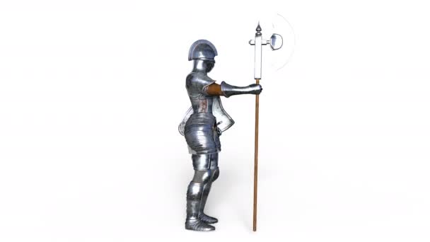 3D CG rendering of a knight — Stock Video