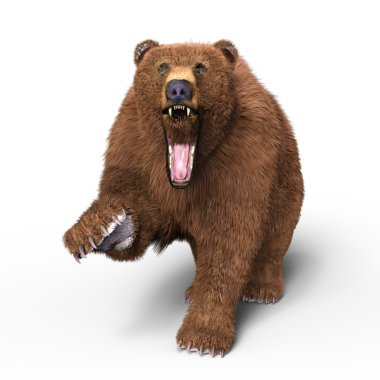 bir ayının 3d cg işleme