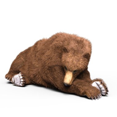 bir ayının 3d cg işleme