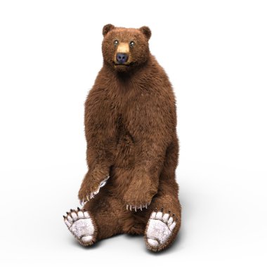 bir ayının 3d cg işleme