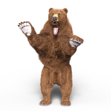 bir ayının 3d cg işleme