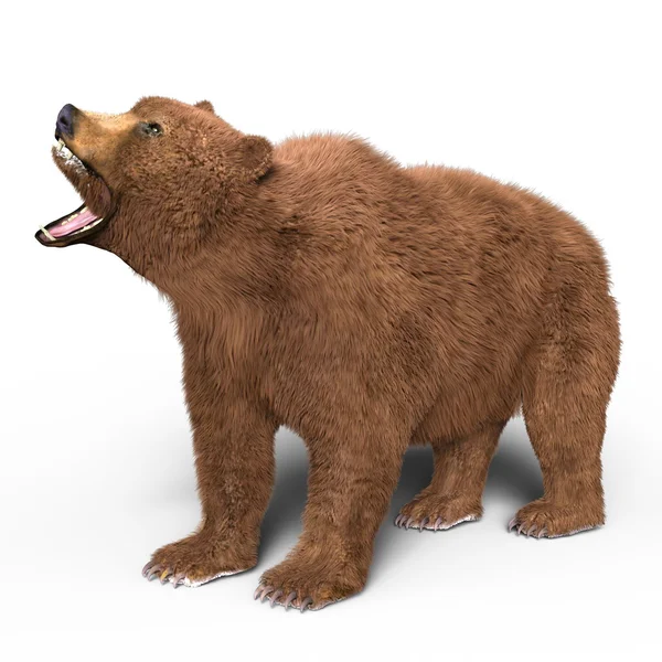 3D CG renderização de um urso — Fotografia de Stock