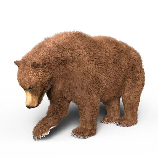 Rendering 3D CG di un orso — Foto Stock