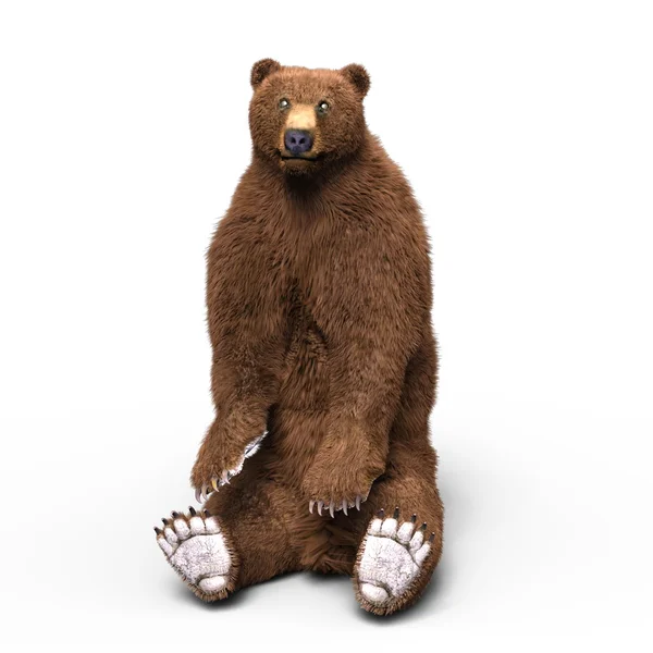 bir ayının 3d cg işleme