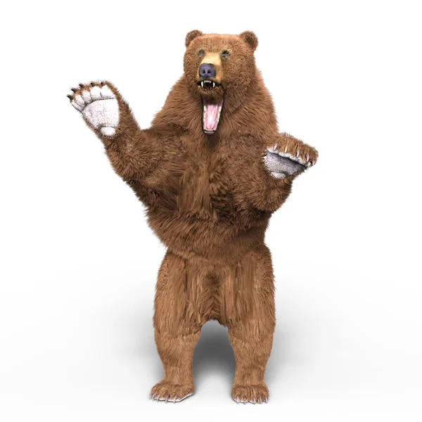 bir ayının 3d cg işleme