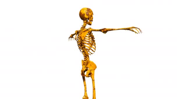 骨格の 3 d cg のレンダリング — ストック動画