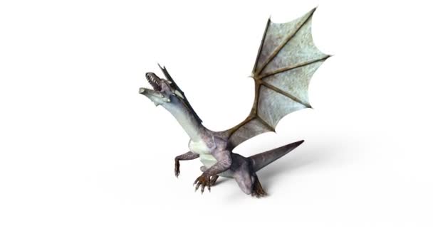 3D cg-rendering av en drake — Stockvideo