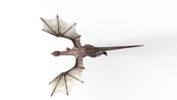 3D cg Darstellung eines Drachen — Stockvideo