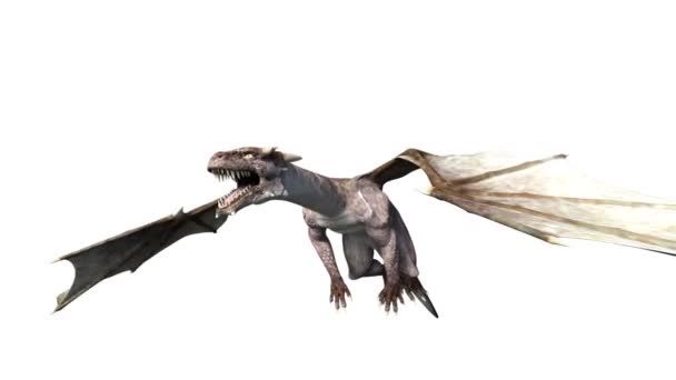 3D CG renderização de um dragão — Vídeo de Stock