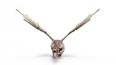 3d cg işleme bir ejderha