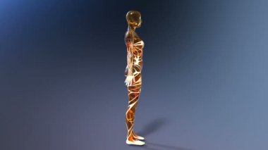 bir yarı saydam kadının 3d cg işleme