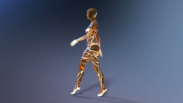 3D rendu 3D d'une femme qui marche — Video