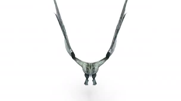 3D rendu 3D d'un dragon 