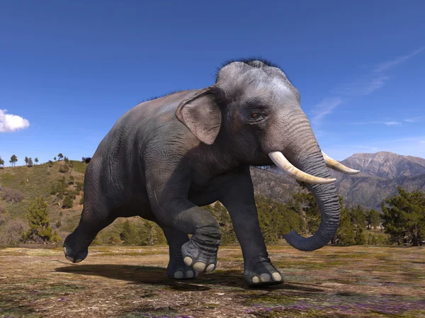 Representación 3D CG de un elefante —  Fotos de Stock