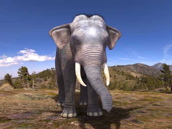 3D CG rendering of an elephant — Stock Photo, Image