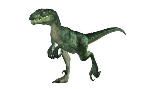 3D-cg rendering van een dinosaurus — Stockvideo