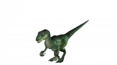 bir dinozor 3d cg işleme