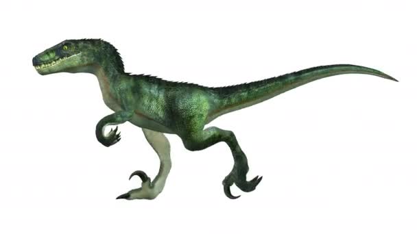 3D-cg rendering van een dinosaurus — Stockvideo