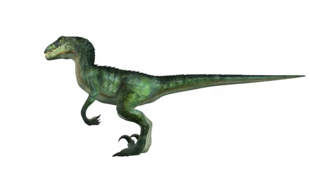 3D-cg rendering van een dinosaurus — Stockvideo