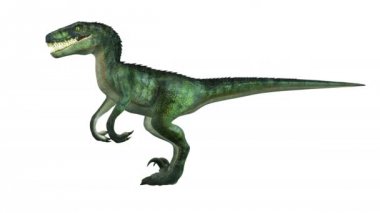 bir dinozor 3d cg işleme