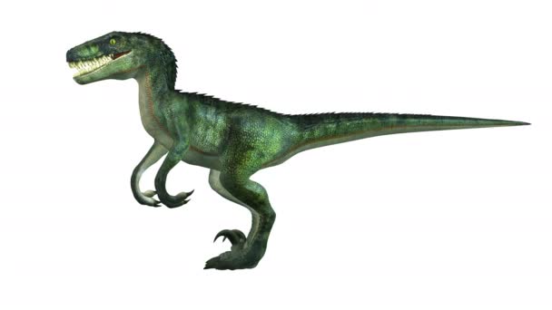 Rendering 3D CG di un dinosauro — Video Stock