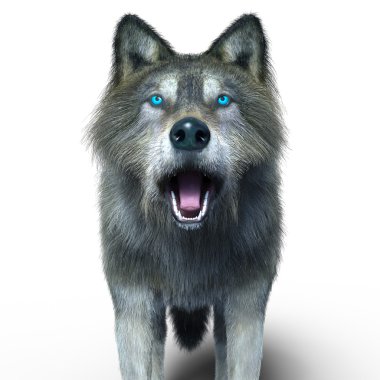 3d cg işleme bir kurt