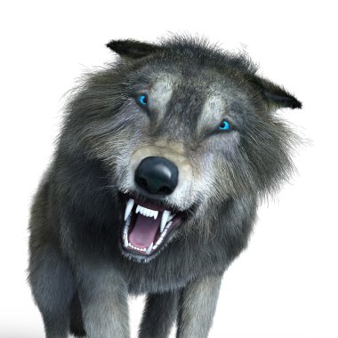 3d cg işleme bir kurt