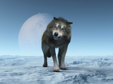 3d cg işleme bir kurt