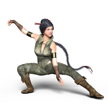 3d cg işleme bir Kung-fu kız