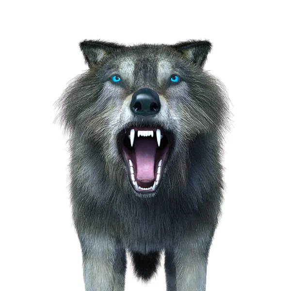 3D CG rendering of a wolf — Stock Photo, Image