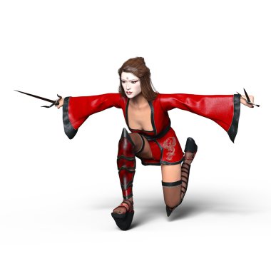 bir erkek ninja 3d cg render