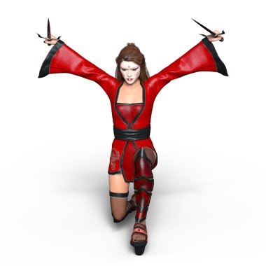 bir erkek ninja 3d cg render