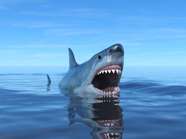 bir köpekbalığı 3d cg render