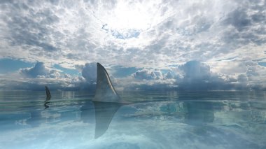 bir köpekbalığı 3d cg render