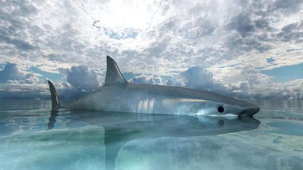 3D-cg-Darstellung eines Hais — Stockfoto