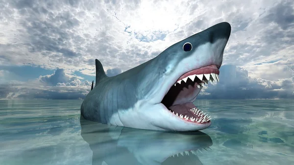 3D cg-rendering av en haj — Stockfoto