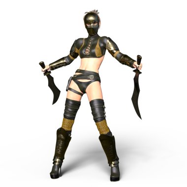 bir kadın şövalye 3d cg render