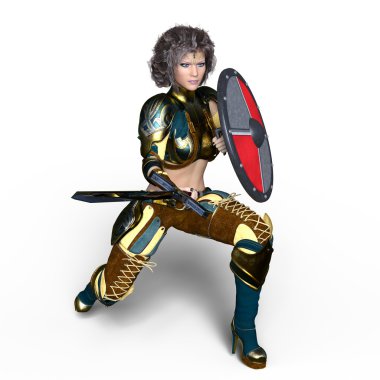 bir kadın şövalye 3d cg render