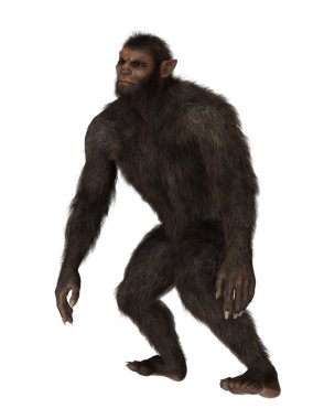 bir canavar 3d cg işleme