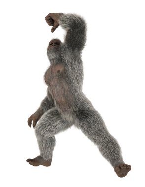 3d cg işleme bir yeti