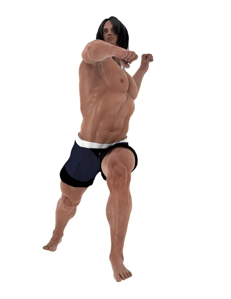 3D-cg-Darstellung eines Kampfkünstlers — Stockfoto