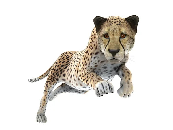 Rendering CG 3D di un ghepardo — Foto Stock