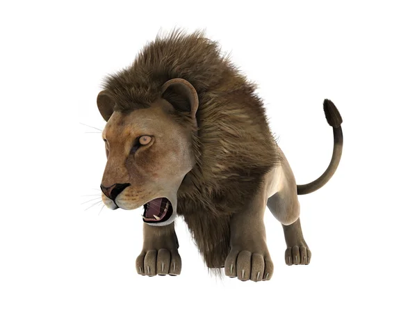 Vykreslování 3D cg lva — Stock fotografie