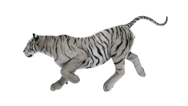 3D rendu 3D d'un tigre blanc — Photo