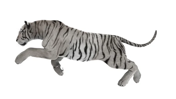 3D CG рендеринг белого тигра — стоковое фото